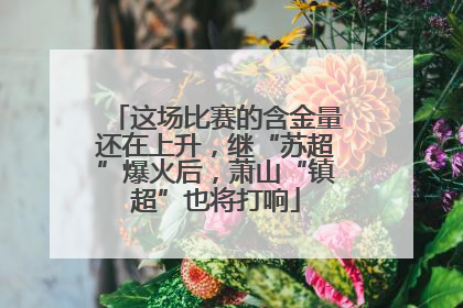这场比赛的含金量还在上升，继“苏超”爆火后，萧山“镇超”也将打响